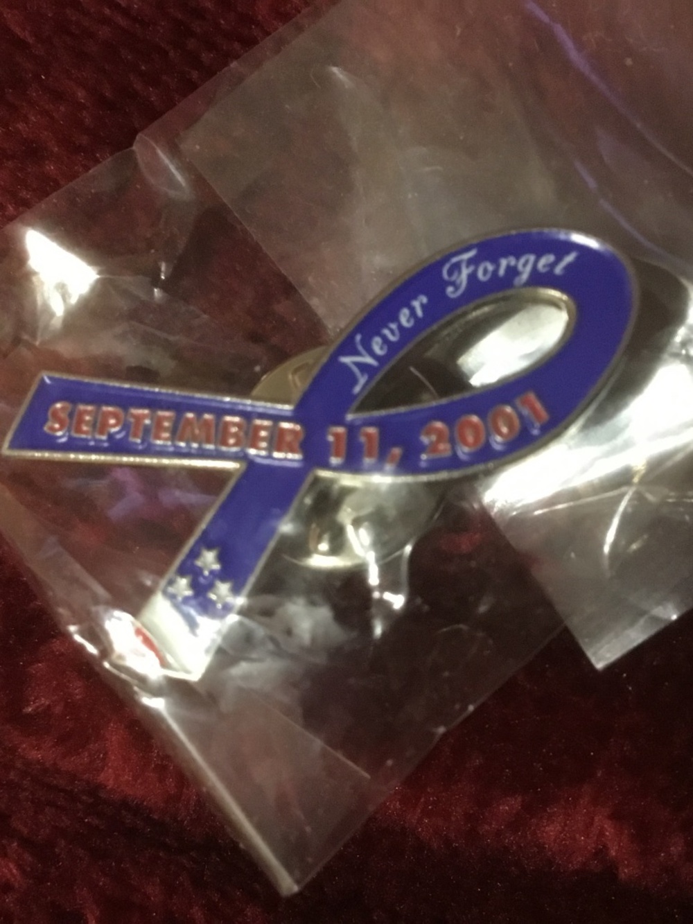 9-11 Never Forget Lapel Pin (Red White Blue)